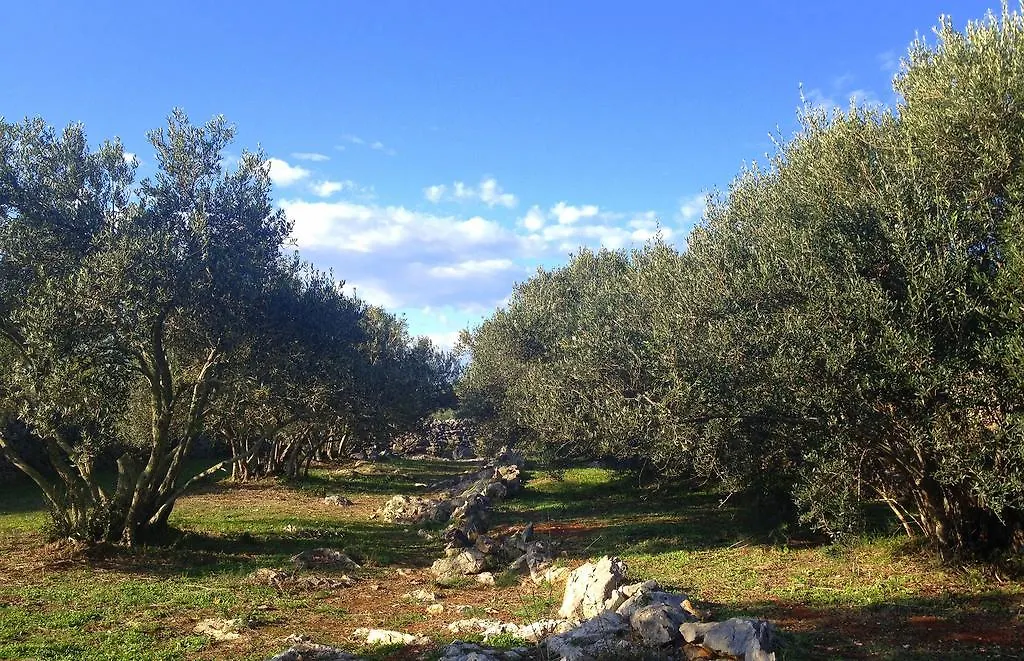 Villa Cortes Mali Iz